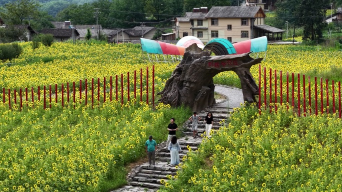 神农架回龙坪 航拍 油菜花 田野花田景观