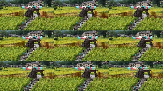 神农架回龙坪 航拍 油菜花 田野花田景观