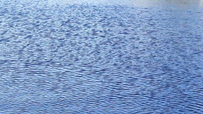 蓝色水面波纹动态