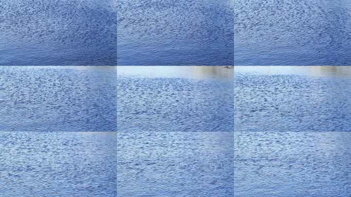 蓝色水面波纹动态