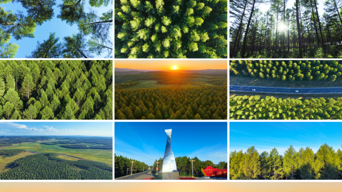 塞罕坝 森林航拍绿色林海日出阳光