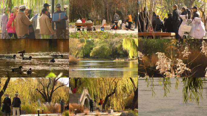 秋日公园休闲时光秋景湖光人影交织