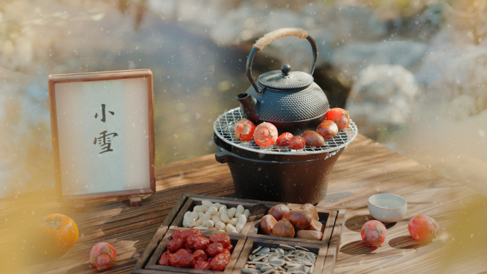 小雪 小雪节气 小雪视频素材 冬天下雪