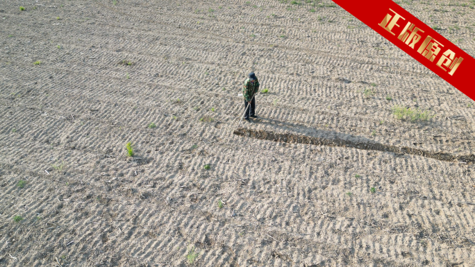 农民开荒地里干活