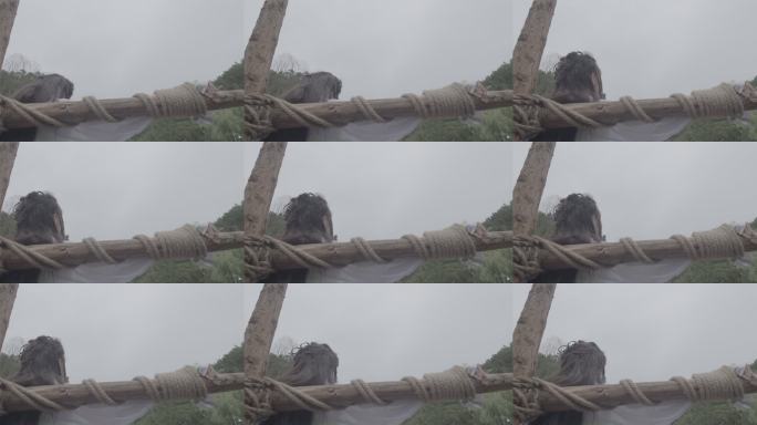 日式晴天娃娃挂饰