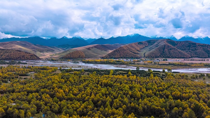 门源大通河秋色航拍延时摄影