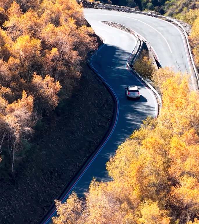 【竖屏】川西马尔康昌列寺盘山公路彩林航拍