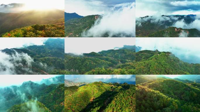 森林云海山脉青山绿树航拍