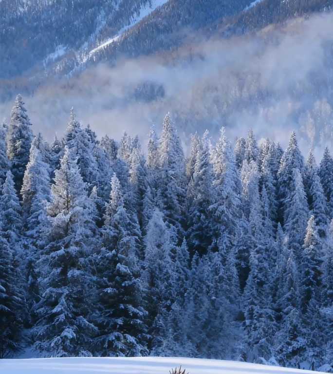 竖屏古风大雪&小雪风景