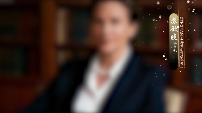 8款金色科技感时尚人名条