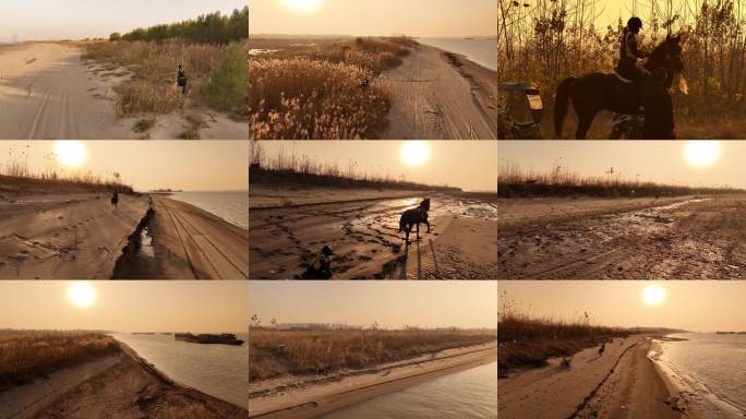 旷野策马漫步黄昏 有摔马镜头