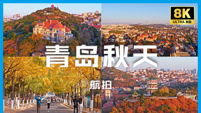 青岛秋日城市风光航拍8K