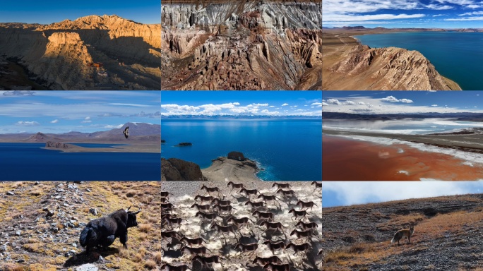 西藏自然动物航拍延时合集