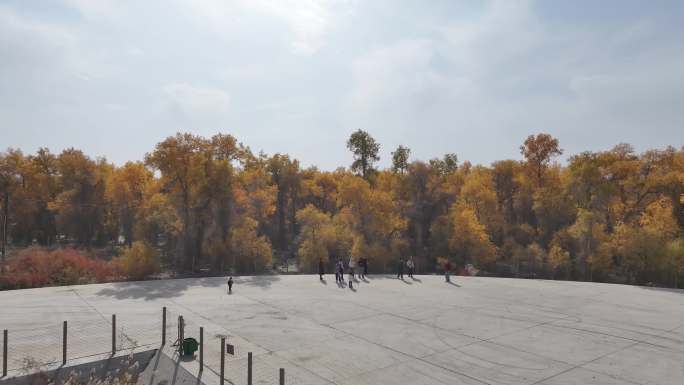 秋日胡杨林大道风光