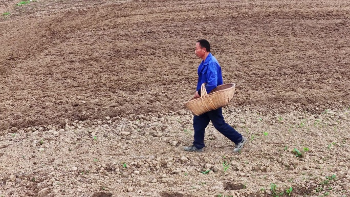 农民田间播种人工施肥场景