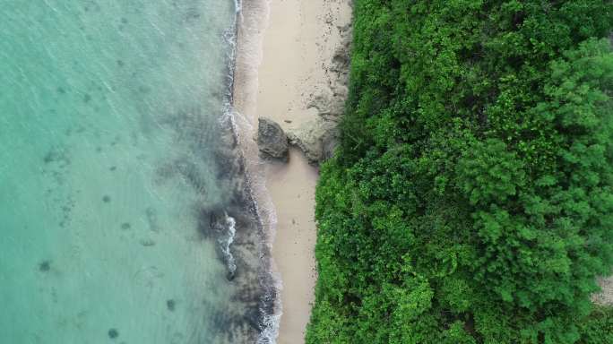 碧海绿树沿海公路