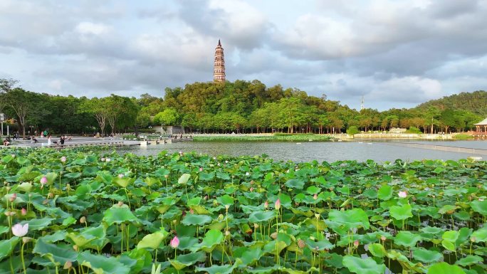 顺德顺峰山公园航拍