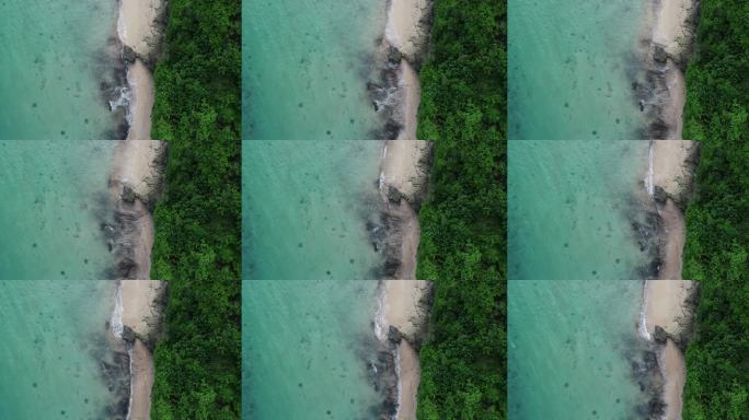 航拍海岸沙滩树林景观