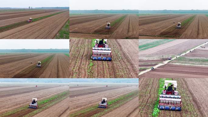 小麦冬播旋耕机械播种春耕