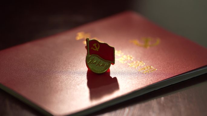 党徽 党章 入党申请 警示教育