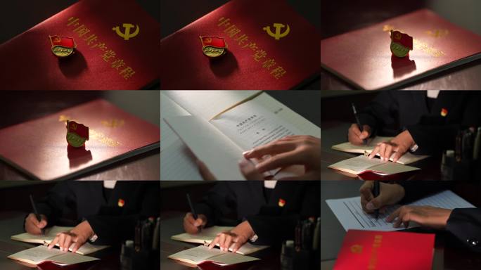 党徽 党章 入党申请 警示教育