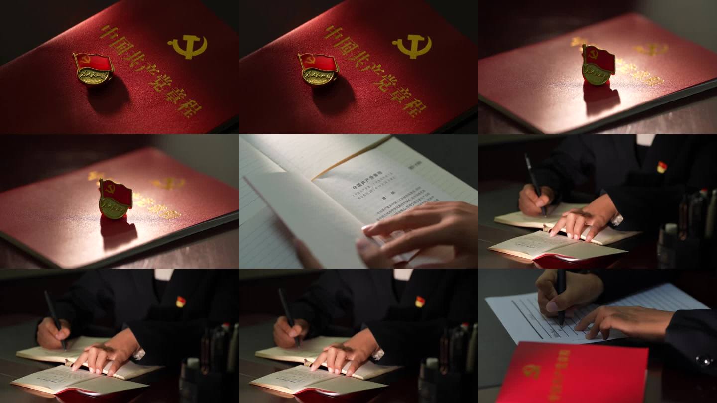 党徽 党章 入党申请 警示教育