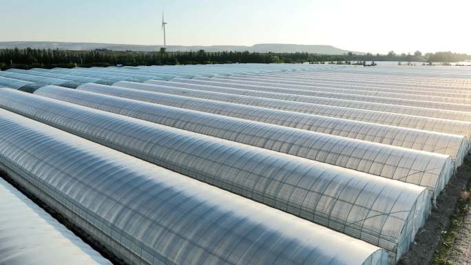 大棚 乡村振兴 设施农业 温室大棚
