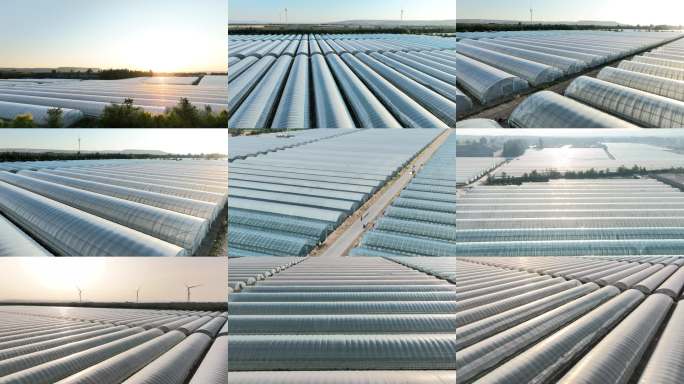 大棚 乡村振兴 设施农业 温室大棚