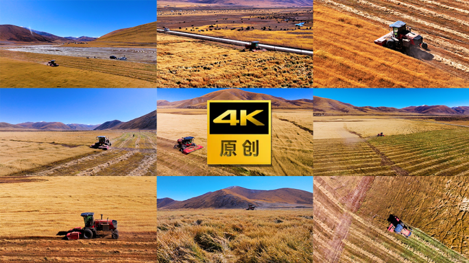 乡村振兴高原粮食丰收收割机械化秋收场景