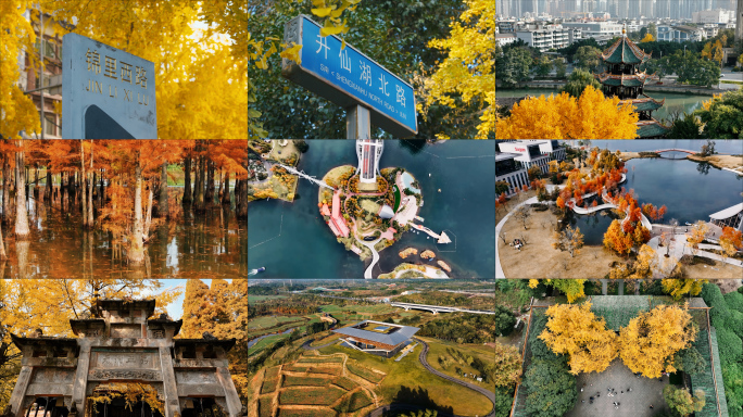 成都秋日风光合集