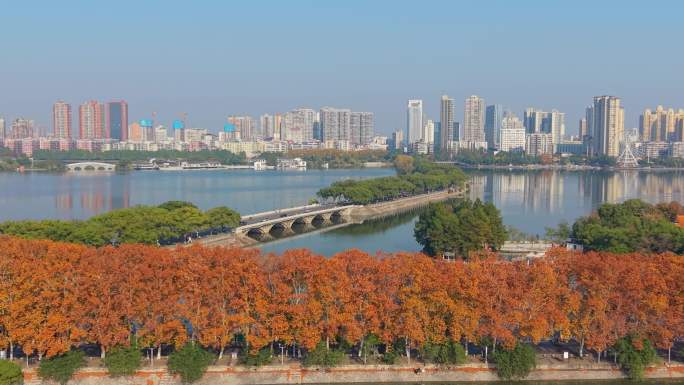 黄石大景磁湖澄月岛红叶素材