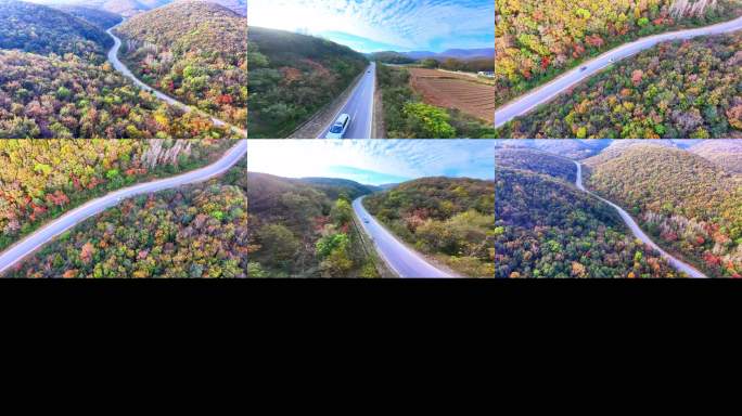 穿越机航拍漫山红叶最美公路 彩色公路