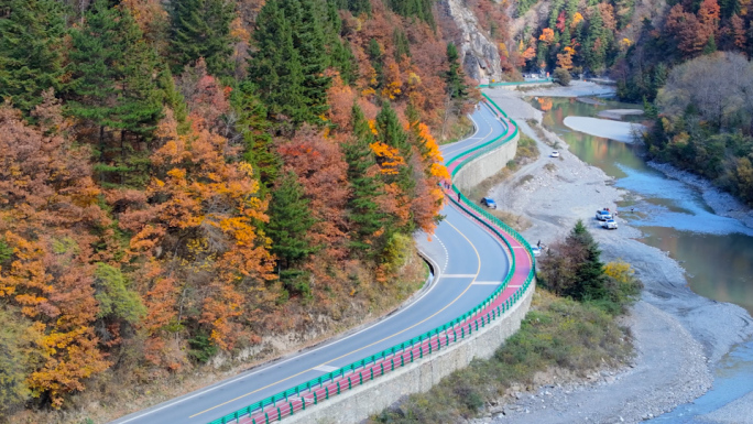 山区道路秋色航拍4K