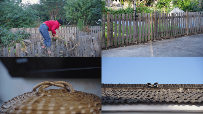 乡村生活日常记录