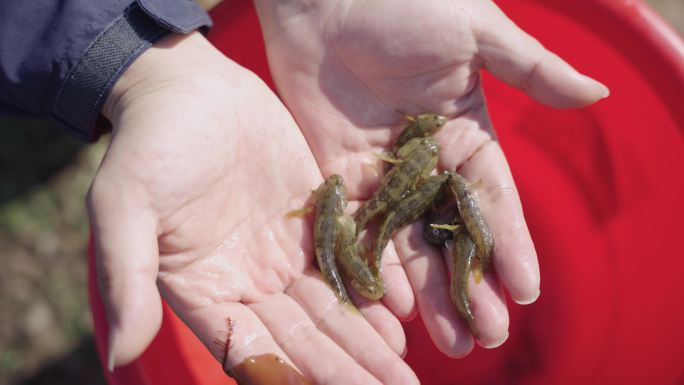 赶海 青岛海边赶海 沿海 垂钓 大海