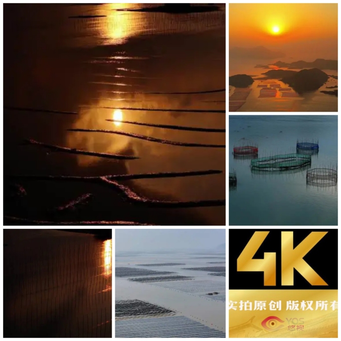 4K福建霞浦甲骨文滩涂花竹日出水产养殖