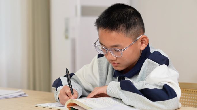 中学生认真写作业场景