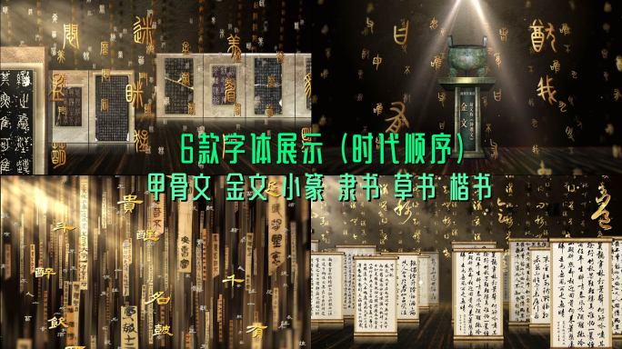 中华各类文字演变展示
