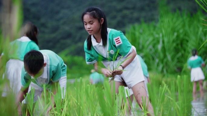 采桑叶春游研学游体验农耕文化