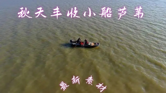 秋天丰收、小船、芦苇