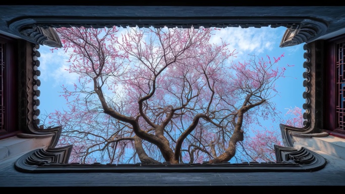 中式园林雅致景观苏式园林