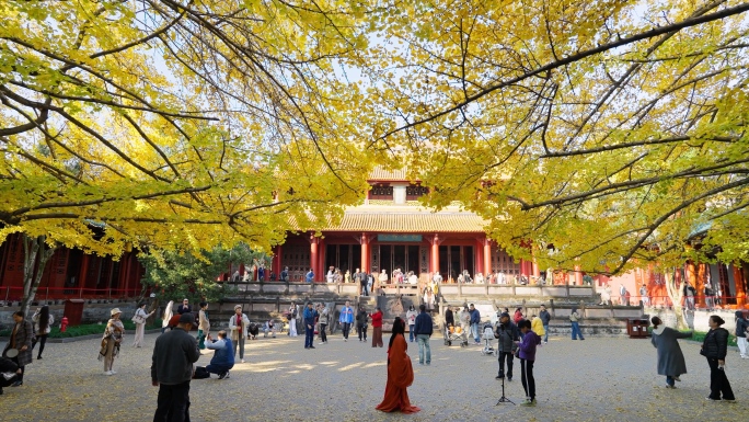 成都崇州罨画池陆游祠红楼梦取景地红叶银杏