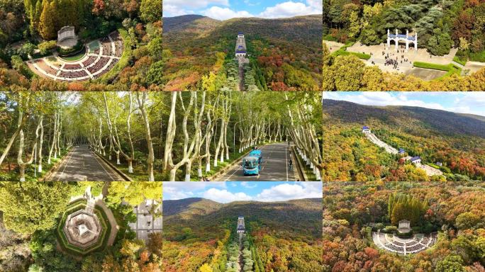 2025 秋景中山陵 音乐台 梧桐大道