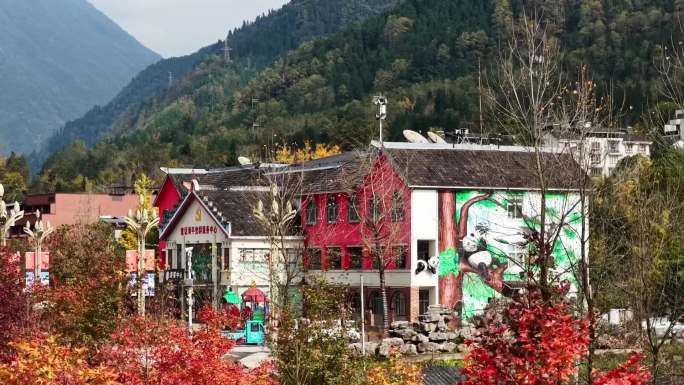 绵竹宣传片——金色清平