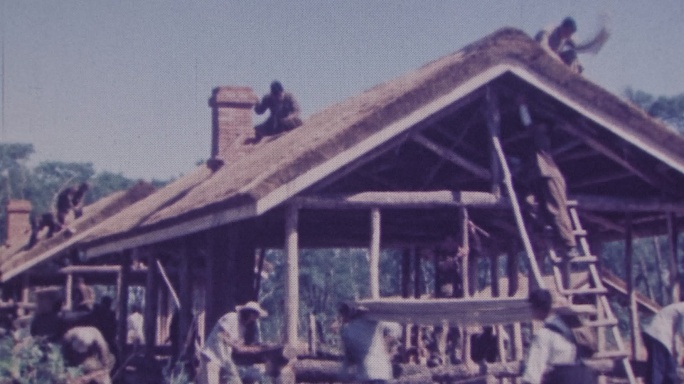 退伍官兵知青下乡建设北大荒农场林场