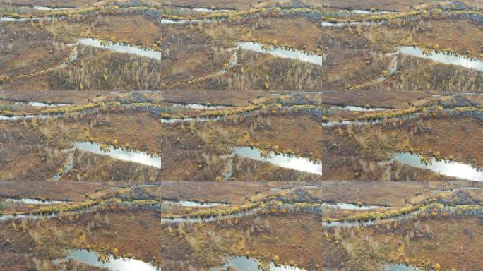 航拍大兴安岭漠河十八湾景区秋季山林河流