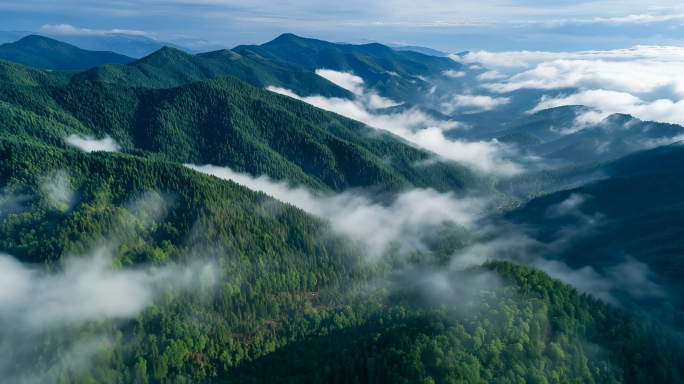 森林云雾缭绕的山间流水大自然风景树林山川