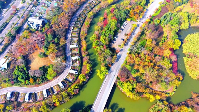 航拍徐州大龙湖多彩的秋天