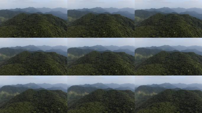 航拍连绵青山绿林