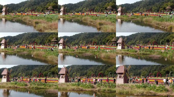 花海湖畔游人如织